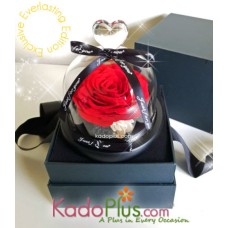Eternity Red Rose